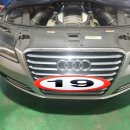 다나모터스 이미지