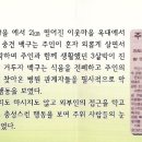 진도특산 티스토리