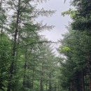 6. 국립 통고산 자연휴양림 야영장 캠핑 후기