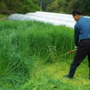 안터사슴농장 이미지