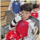 기품있는 태권도장 이미지