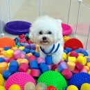 시스템바이8
