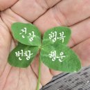 번창 티스토리