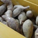 반햇소 영농조합법인 이미지