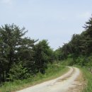 오월쉼표 이미지