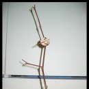 얌얌짭짭 이미지