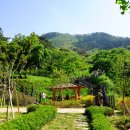 철쭉동산 이미지