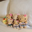 현서농장 | 2025 Nov&amp;Dec