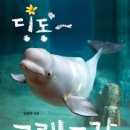 [지성사] 신간『딩동~ 고래 도감』을 소개합니다. 이미지