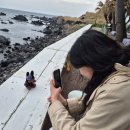 제주일상 | 2026 제주북페어 후기(라고 하기엔 개인 일상)