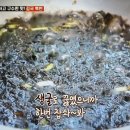 달님이네
