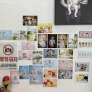 61파크에비뉴 | [안양] 애니스튜디오 50일 촬영 후기. 봄빛조리원 연계 만삭/뉴본/50일 무료 촬영!