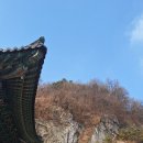 반야사 Daum카페
