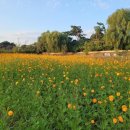 공 때리네 이미지