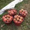 부림1농장 이미지