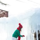 참샘 농원 이미지