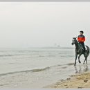 아침해변 이미지