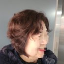 한샘프라자 | 수원 아주대 미용실 헤어다이아 아주대점 디자인펌 by 한샘수석실장