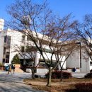 영남대학교 이미지