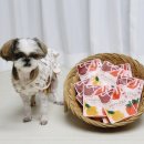 메리도프 이미지