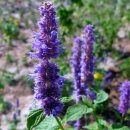 서귀포시동부도서관 이미지