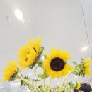 (여름학기) 다이어트 체조&댄스 네이버블로그