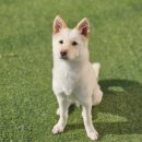 백옥대로730번길 이미지