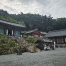 곡성-131 Daum카페