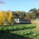 대상(주)오산공장 이미지