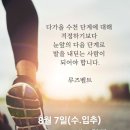 8월 7일(수.입추)아침을 여는 건강한 에코힐링(글 전체보기는 글주소 클릭!) 이미지