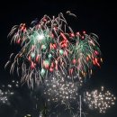 서울세계불꽃축제 Daum카페