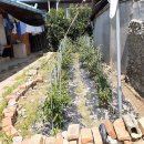 영이용소 이미지