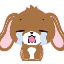 렌즈소녀 네이버블로그