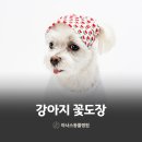 언양동물병원 이미지