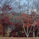 12월 교육 공지 이미지