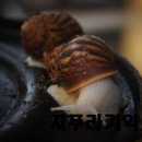 지푸라기농장 이미지