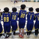 함께 뛰노는 스포츠 이미지