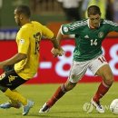 오티메디 이미지