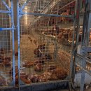 미력 농장 이미지