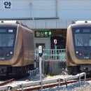골드라인