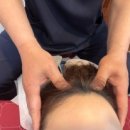 한국활인활법전국연합회