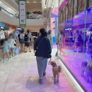 이룸독트레이닝 네이버블로그