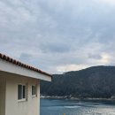 지안 | [거제펜션] 지안포레스트(Premium) 숙소 솔직후기 | 바다 감성 펜션 추천