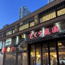 사쿠라 | 목동 오목교 맛집, 이자카야 사쿠라테이엔 후기