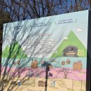 광명동굴 (코끼리차 주차장) | [광명동굴 총정리] 서울 근교 가볼만한곳 BEST 1! 입장료, 주차, 소요시간 2026 최신판