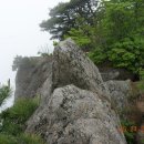 신원 사슴목장 이미지