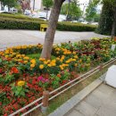 명품가로공원 이미지