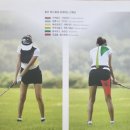 스윙의 기초 이미지