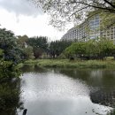 구미시 기본식물생산연구동 화장실 | [타이베이] 2024/2/7 쑹산 문화창의공원/韓川館正宗韓式料理店/타이베이 101/魔頭帽騎士用品專賣店...