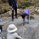 점곡초등학교 이미지